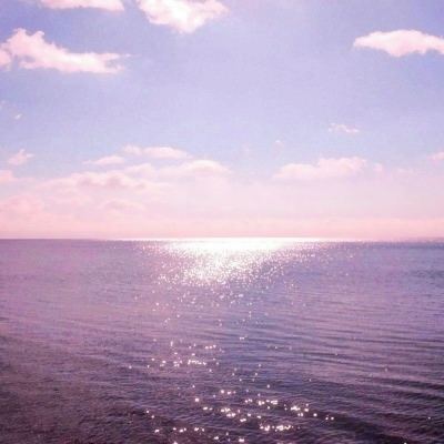 安徽宁国：野樱绽放
